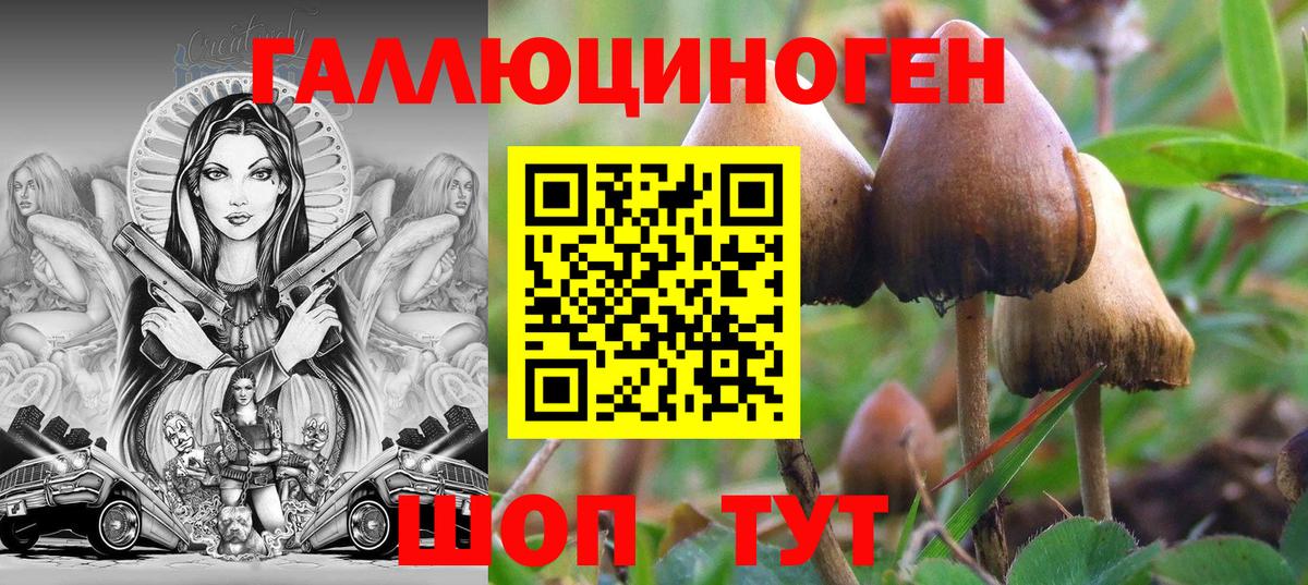 Галлюциногенные грибы Magic Shrooms Гуково