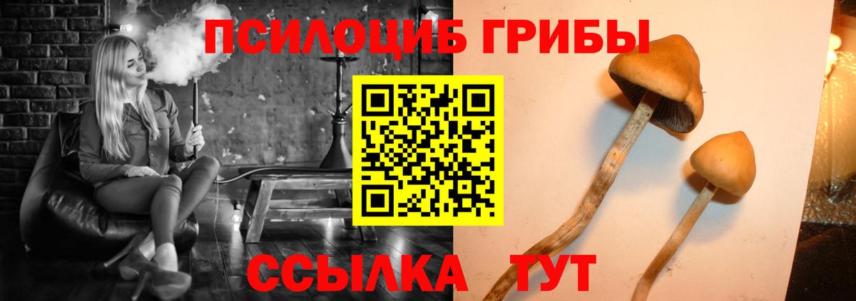 Галлюциногенные грибы ЛСД  где найти наркотики  Гуково  Вход с VPN  Галлюциногенные грибы Psilocybe 