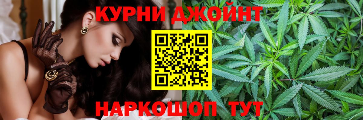 Бошки марихуана сатива Гуково